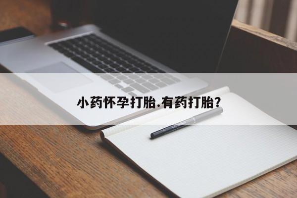 堕胎药药店购买微信联系方式小药怀孕打胎.有药打胎？