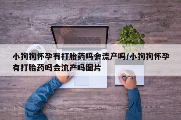 堕胎药药店购买微信联系方式小狗狗怀孕有打胎药吗会流产吗/小狗狗怀孕有打胎药吗会流产吗图片