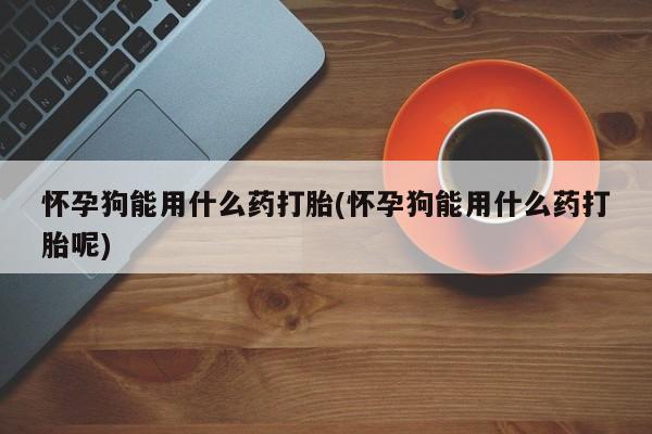 堕胎药药店购买微信联系方式怀孕狗能用什么药打胎(怀孕狗能用什么药打胎呢)